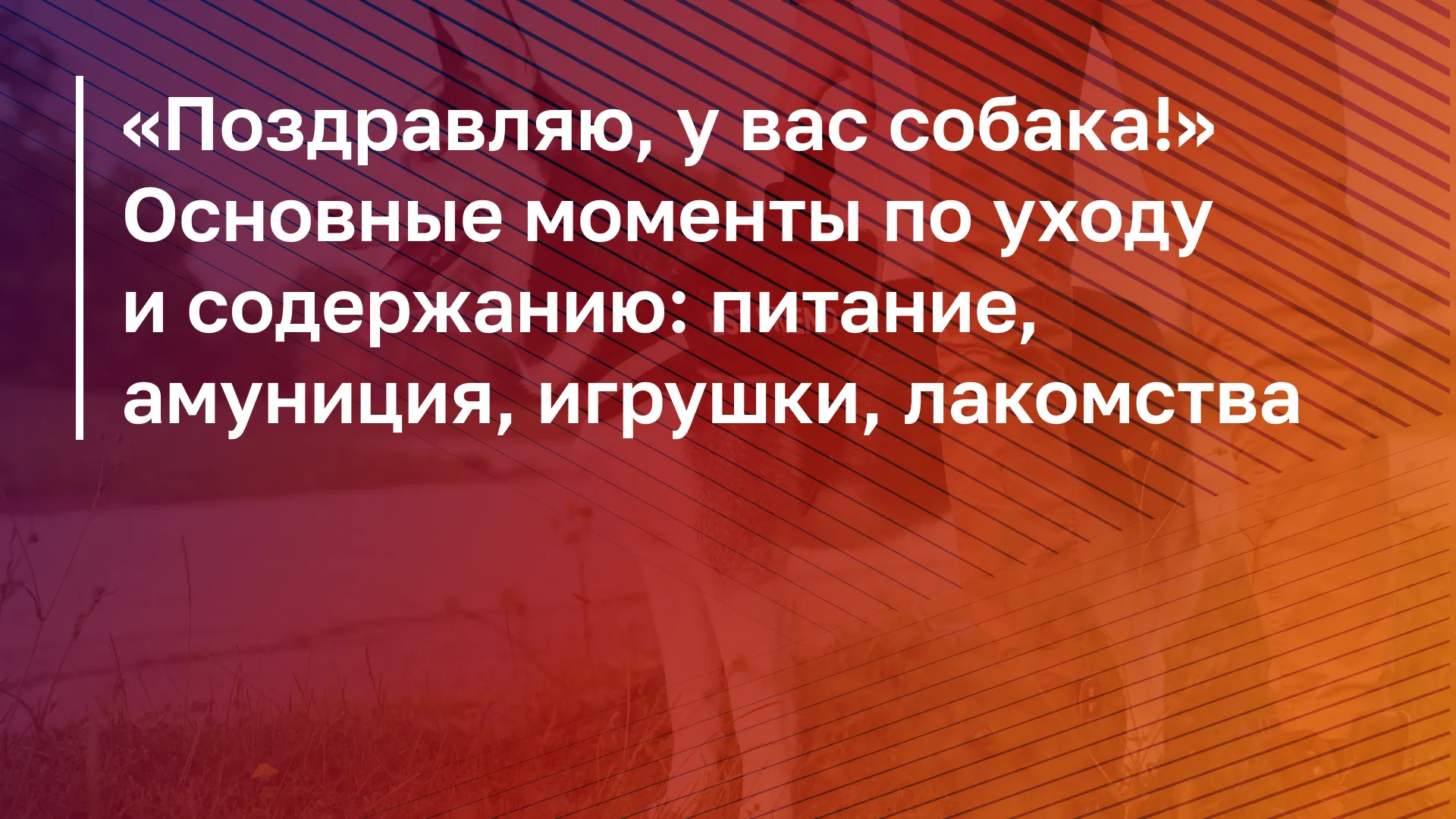Обложка курса