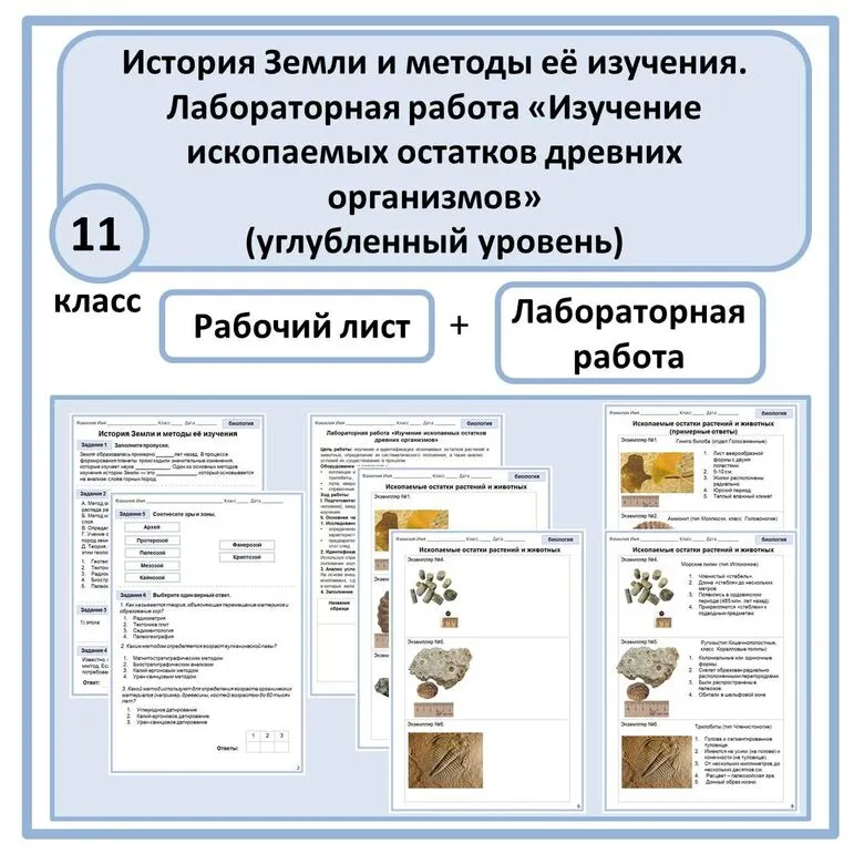 Комплект по биологии (рабочий лист + лабораторная работа) 