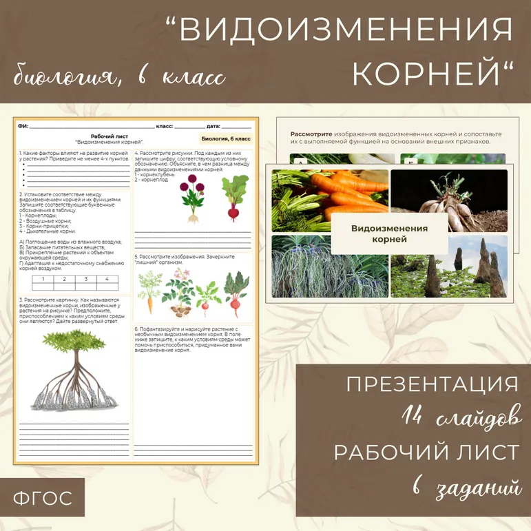 «Видоизменения корней», 6 класс