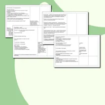 Конспект индивидуального коррекционно-развивающего занятия на развитие памяти 
