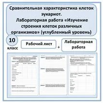 Рабочий лист 