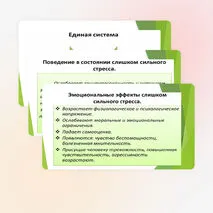 Презентация на тему 