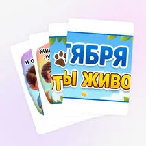 Оформление 