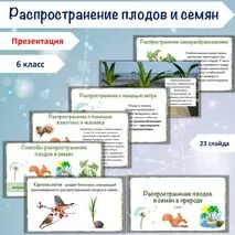 Презентация «Распространение плодов и семян в природе», 6 класс