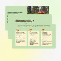 Презентация 