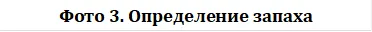 Фото 3. Определение запаха