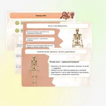 Презентация 