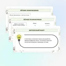 Презентация по биологии «Дыхание животных»
