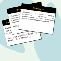 Презентация по биологии на тему 