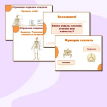 Презентация и раздаточный материал к уроку 