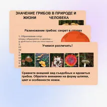 Презентация 