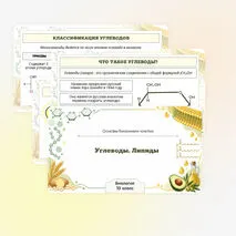 Презентация по биологии «Углеводы. Липиды