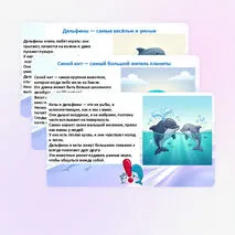 Презентация «Всемирный день китов и дельфинов»