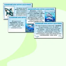 Всемирный день китов и дельфинов. Презентация.