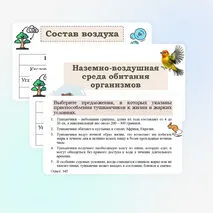 Презентация 