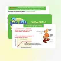 Презентация по биологии 