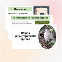 Презентация по биологии «Общая характеристика грибов» 7 класс