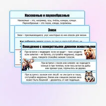 Презентация «Правила безопасного поведения в природной среде». ОБЗР. 9 класс