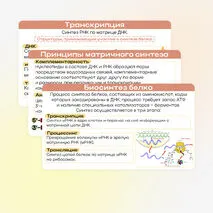Презентация «Реакции матричного синтеза. Биосинтез белка»