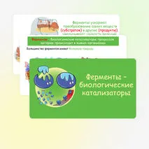 Презентация по биологии 