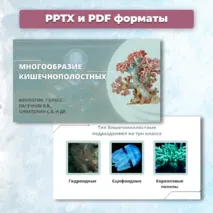 Презентация «Многообразие кишечнополостных» к учебнику по биологии для 7 класса- Пасечник В.В., Суматохин С.В. и др.
