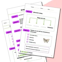 Кости и строение скелета человека.