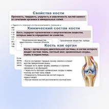 Презентация по биологии (9 класс) 