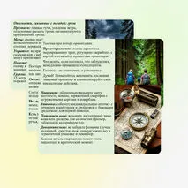 Презентация «Безопасность в природной среде: тактика действий». ОБЗР, 11 класс