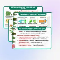 Презентация 