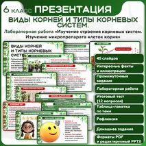 Презентация 