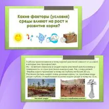 Комплект материалов для урока биологии 