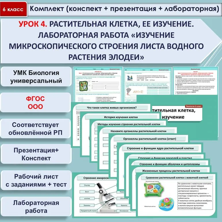 Комплект (конспект + презентация + рабочий лист + лабораторная работа + тест) «Растительная клетка, ее изучение. Лабораторная работа «Изучение микроскопического строения листа водного растения элодеи»». Биология 6 класс