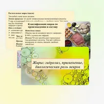 Презентация «Жиры: гидролиз, применение, биологическая роль жиров»