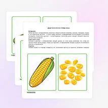 Дидактическая игра «Найди овощ»