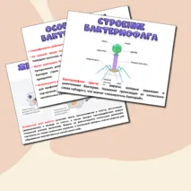 Презентация «Вирусы-неклеточная форма жизни». Биология 10 класс.