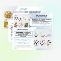 Презентация по биологии «Углеводы. Липиды» для 10 класса
