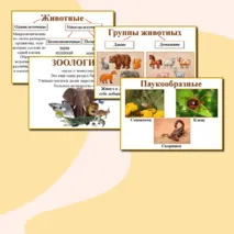 Наглядный материал 