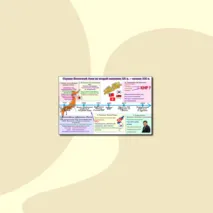 Опорный конспект, рабочий лист по всеобщей истории, 11 класс: 