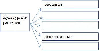 овощные,декоративные,Культурные
растения
