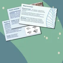 Презентация по биологии. 11 класс. Тема: «Направления и пути макроэволюции».
