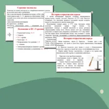 Презентация по химии 