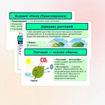 Презентация «Обмен веществ у растений» 6 класс