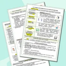 Человек как участник правовых отношений Часть 2