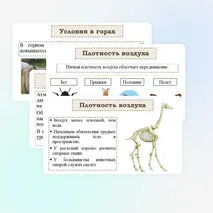 Презентация 