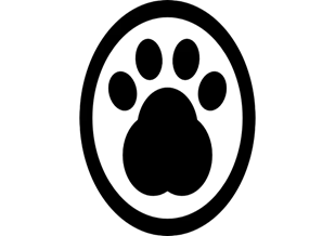 Picture background