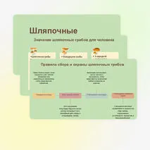 Презентация 