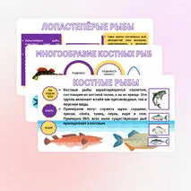 Презентация «Хрящевые и костные рыбы». Биология 8 класс.