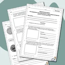 Лабораторная работа «Исследование под микроскопом готовых микропрепаратов клеток и тканей животных»