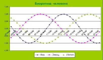 bioritm