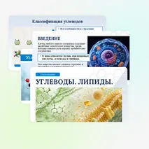 Презентация по биологии «Углеводы. Липиды» для 10 класса